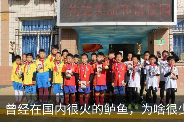 曾经在国内很火的鲈鱼，为啥很少人吃了，鱼贩子：4大原因影响大